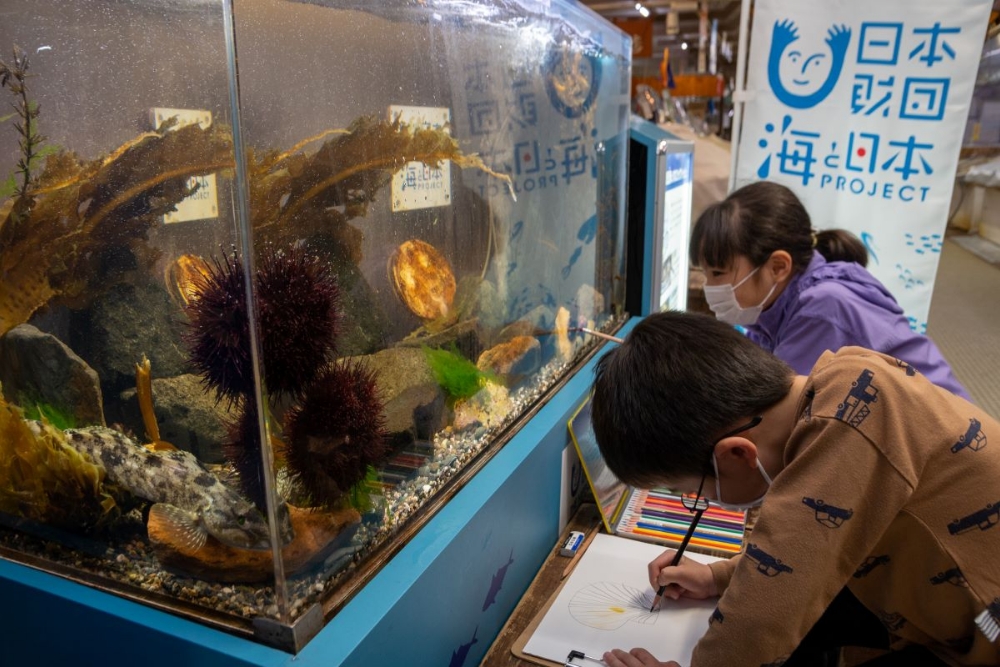 【函館朝市ミニ水族館講座】お魚お絵かき教室2023