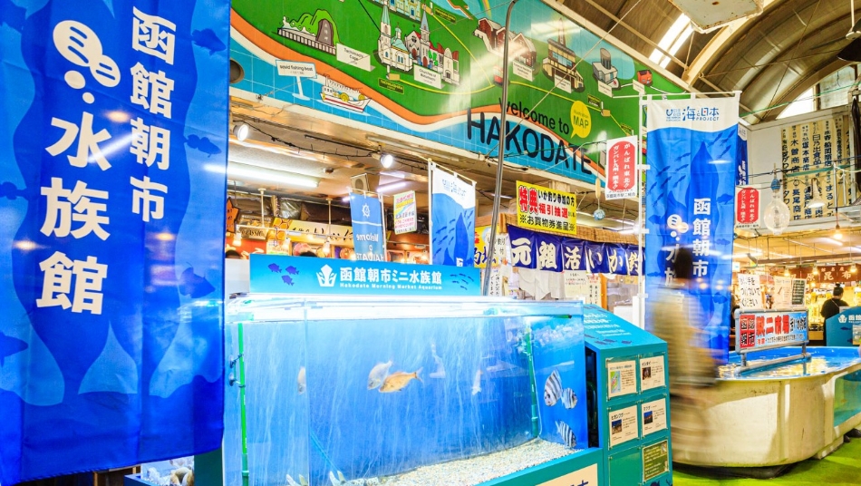 朝市ミニ水族館2023年度のテーマは「函館の海を学ぼう」
